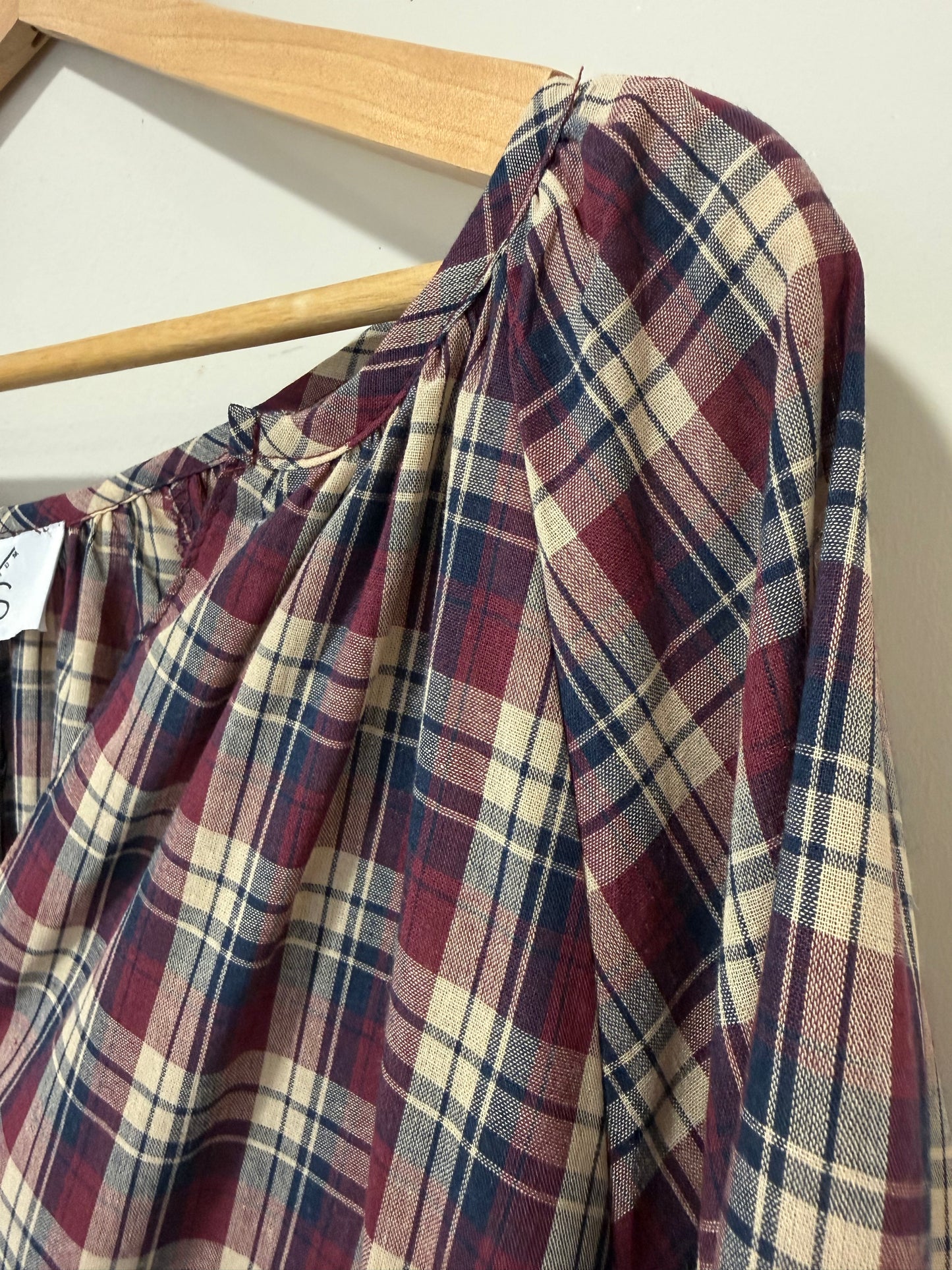 Plaid Shirt with Embroidery Detail on Sleeve