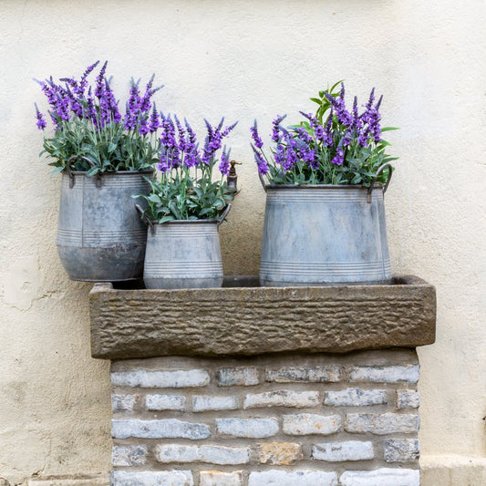 Zinc Tall Planters With Handles Set Of 3