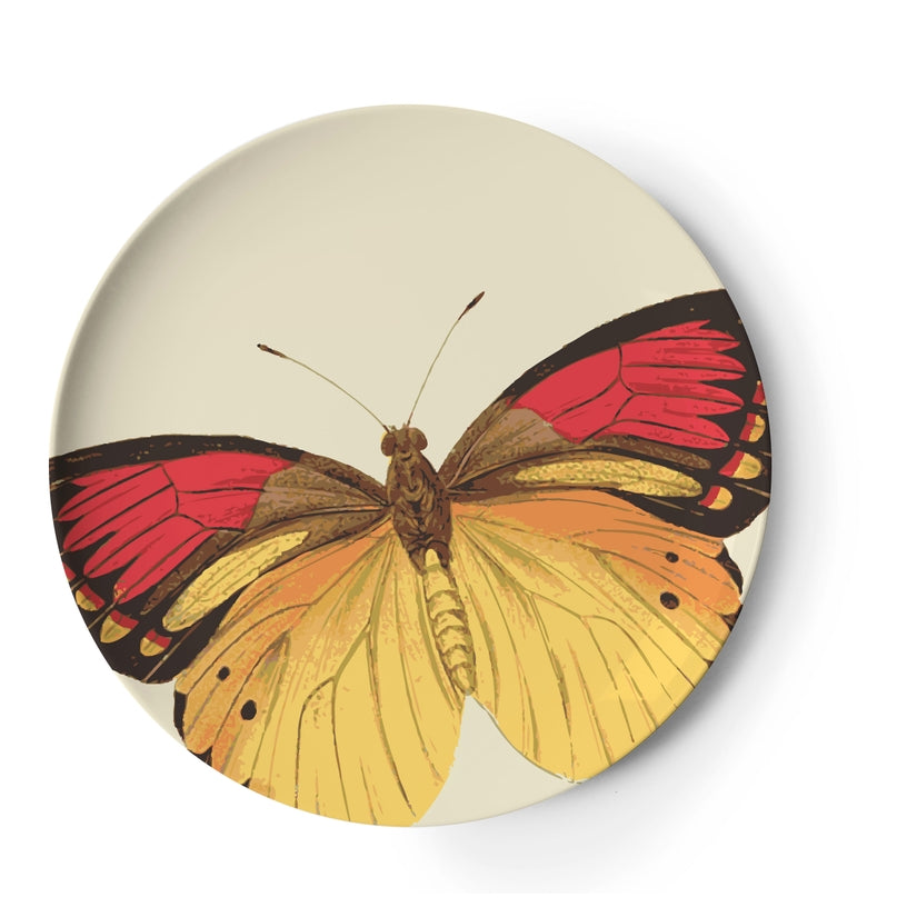 Butterfly Metamorphosis Side Plates Set of 4