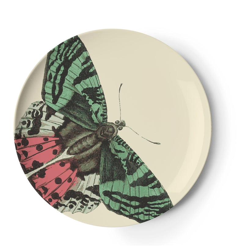 Butterfly Metamorphosis Side Plates Set of 4