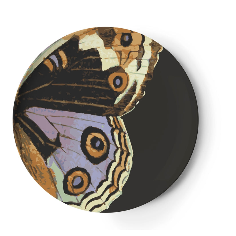 Butterfly Metamorphosis Dinner Plates Set of 4
