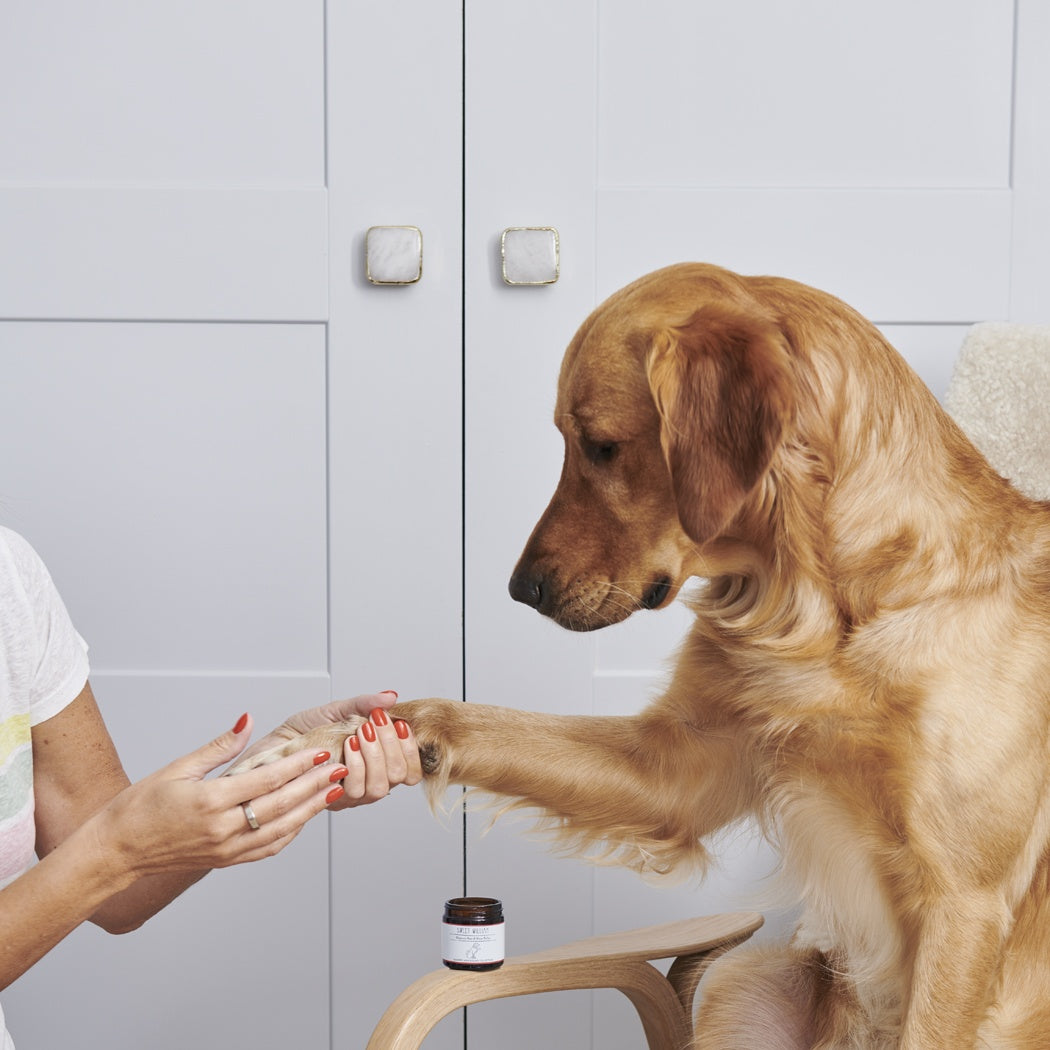 Cooper's Apothecary Dog Paw and Nose Balm