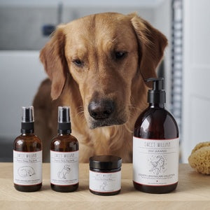 Cooper's Apothecary Dog Paw and Nose Balm