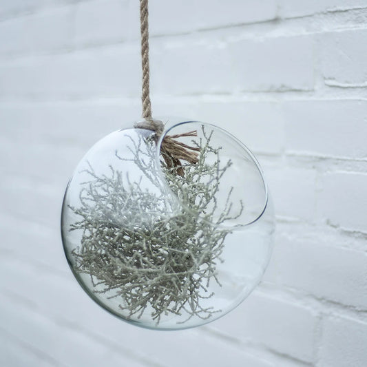 Eco Terrarium On Rope Small