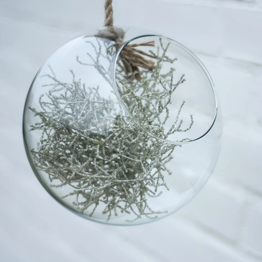 Eco Terrarium On Rope Small