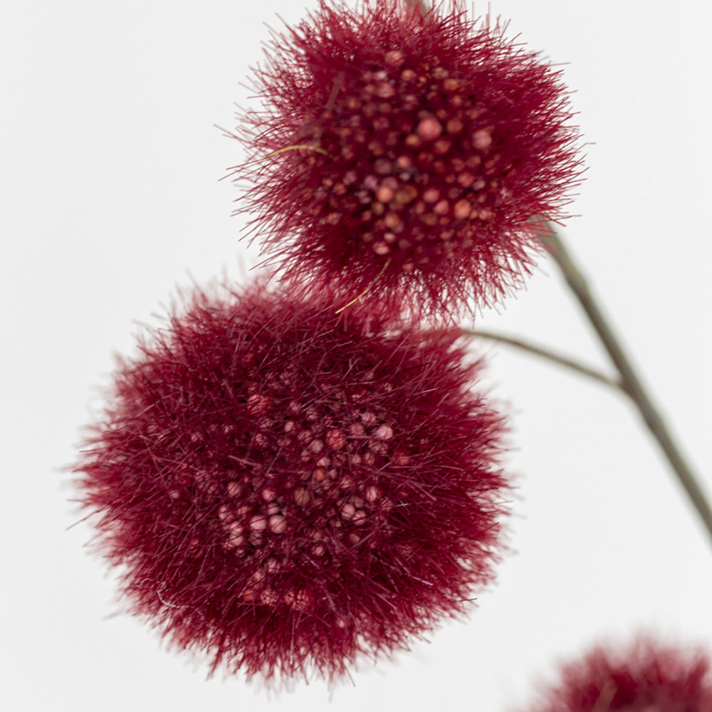 Onion Grass Dark Red