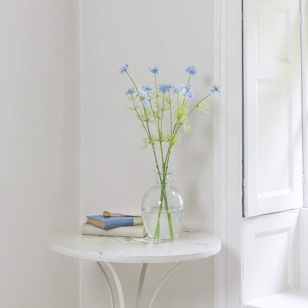 Nigella Blue