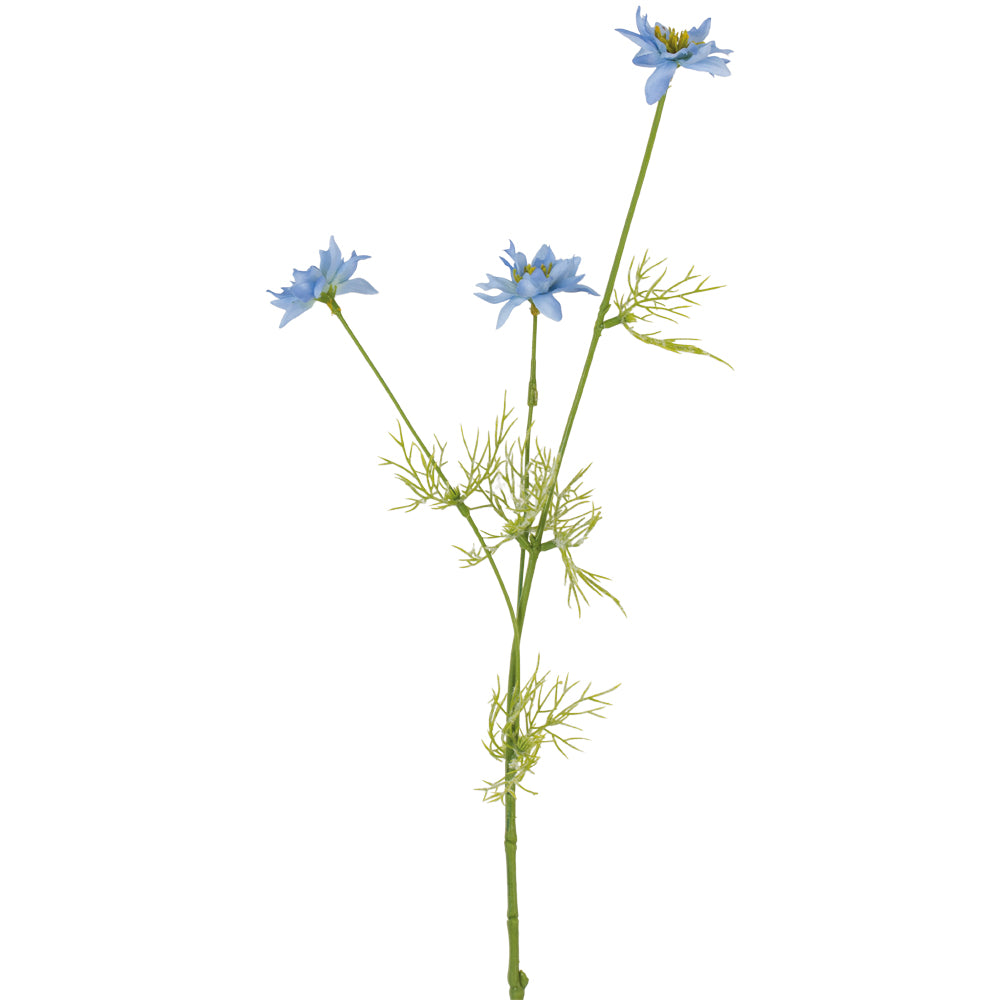 Nigella Blue