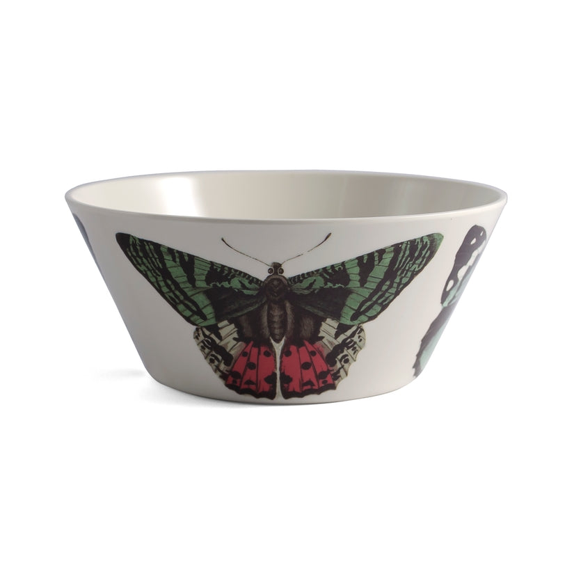 Butterfly Metamorphosis Small Bowls Set of 4
