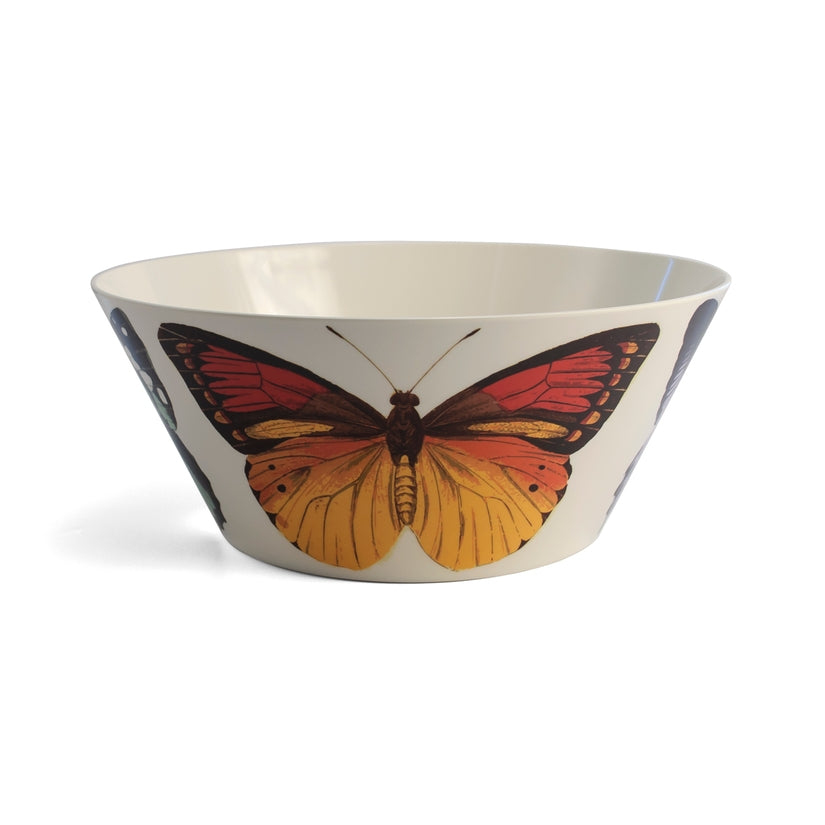 Butterfly Metamorphosis Small Bowls Set of 4