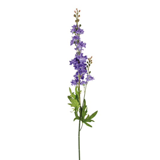 Delphinium Blue