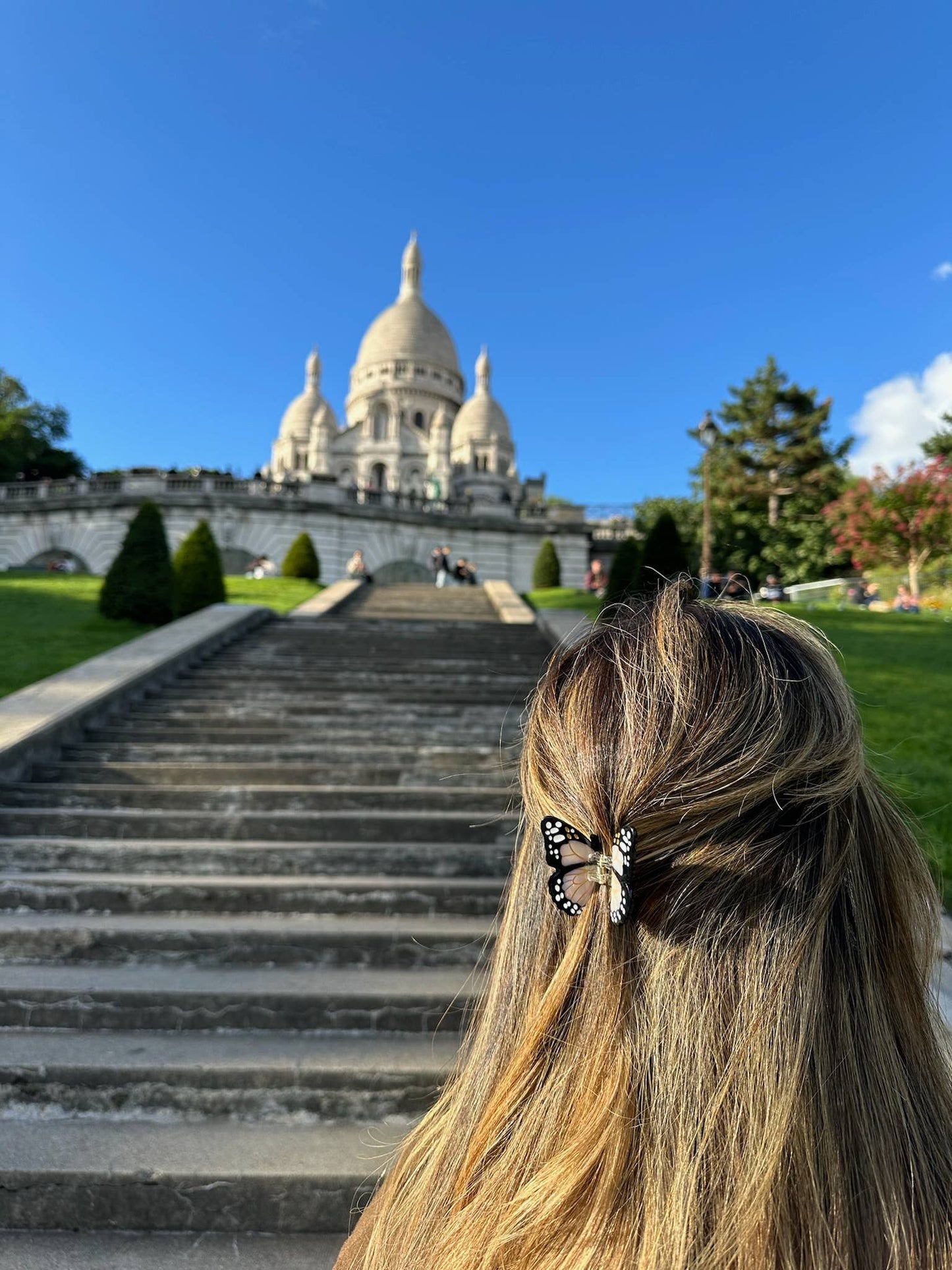 Hand-painted MINI Monarch Claw Hair Clip