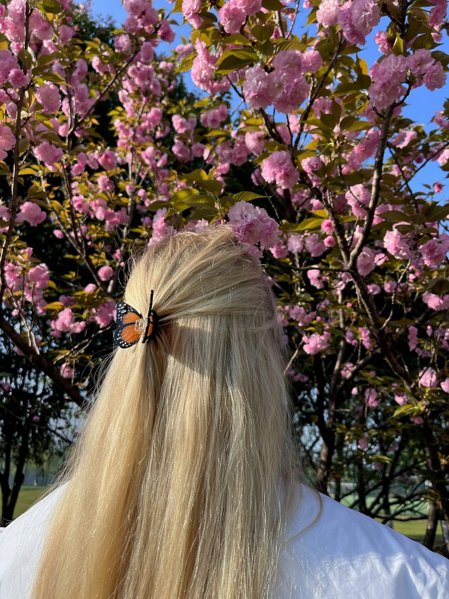 Hand-painted Mini Monarch Claw Hair Clip | Eco-Friendly