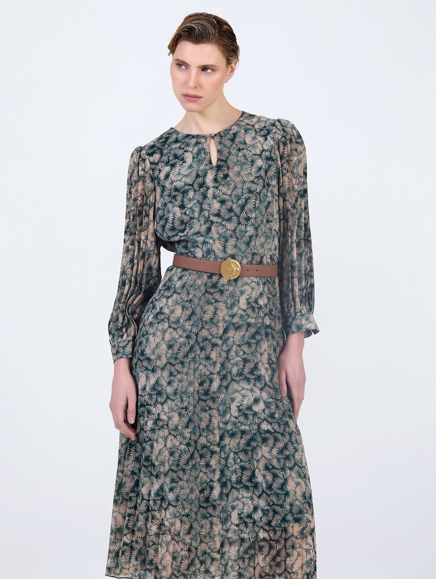 Printed Chiffon Dress