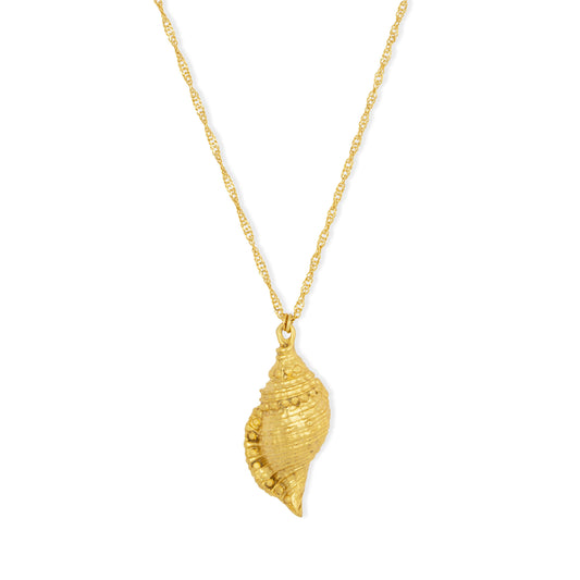 Gold Conch Shell Pendant Necklace