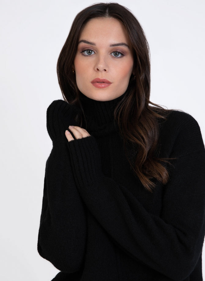 LIPY Polo Neck Sweater in Black