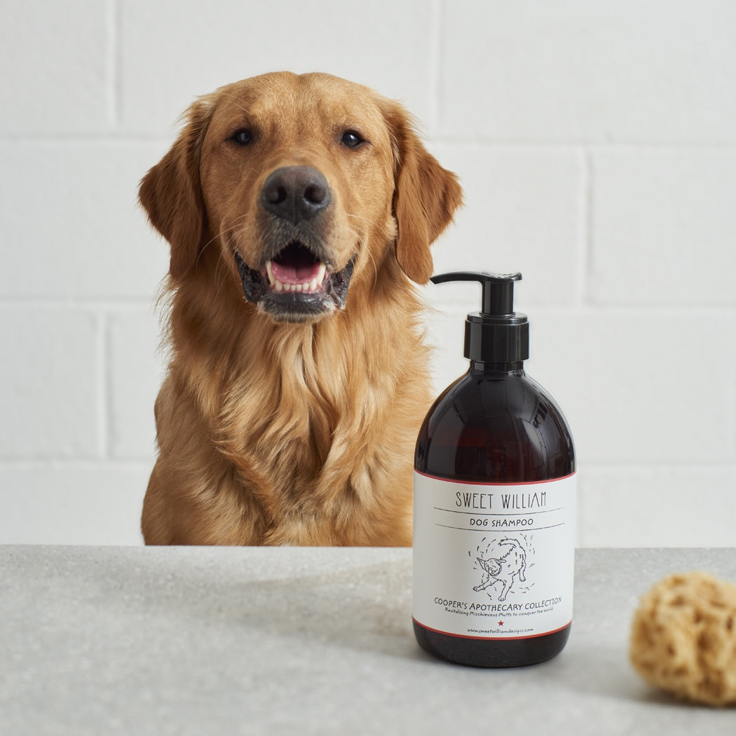 Cooper's Apothecary Dog Shampoo