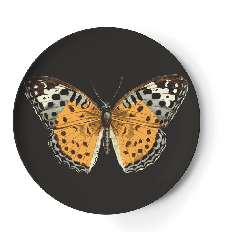 Butterfly Metamorphosis Coaster Set of 4
