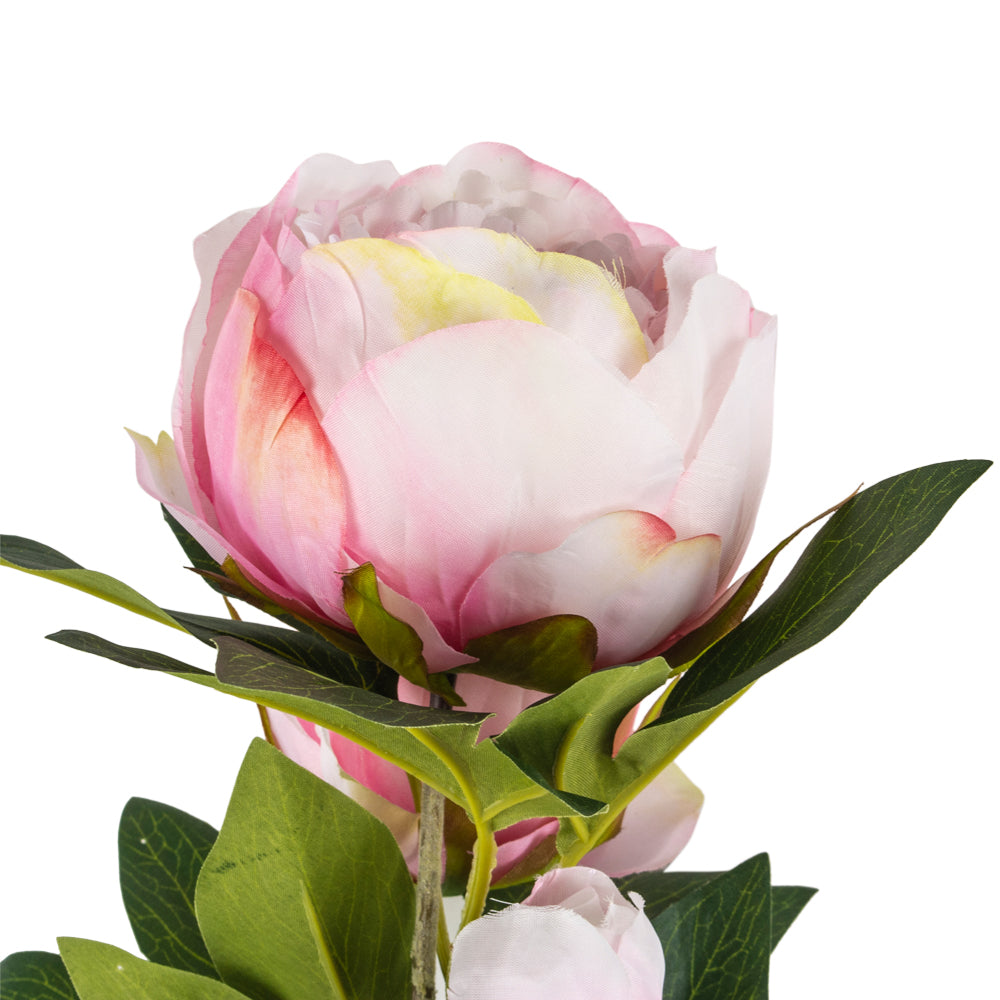 Peony Spray Light Pink